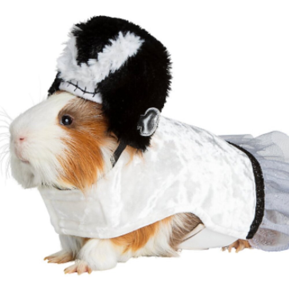 Small Pet Monster Bride Costume